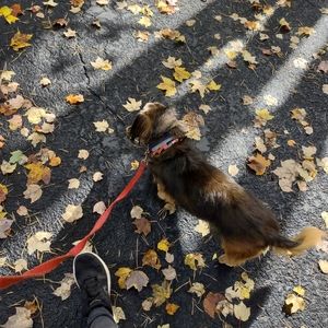 I'm Jaz! Nice to meet you!